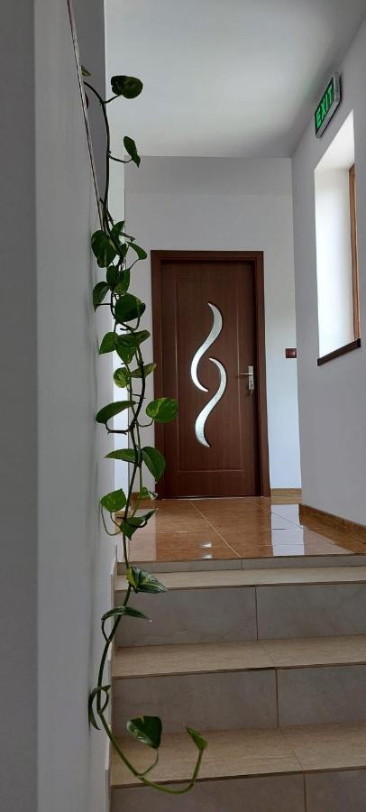 Agropensiunea Olteanu Niculitel エクステリア 写真