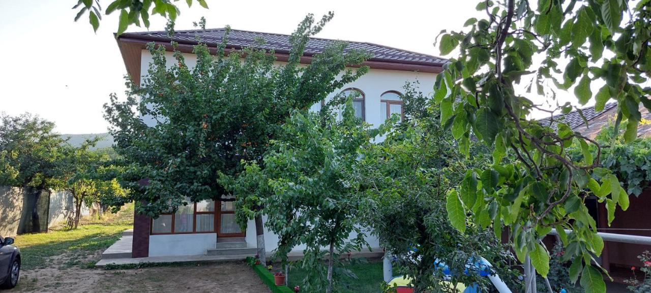 Agropensiunea Olteanu Niculitel エクステリア 写真